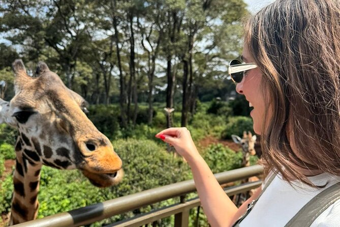 Nairobi National Park and Giraffe Center Private Guided Tour