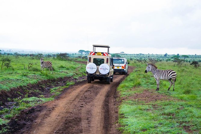 Nairobi National Park, Giraffe Center & Beads Factory Guided Day Tour