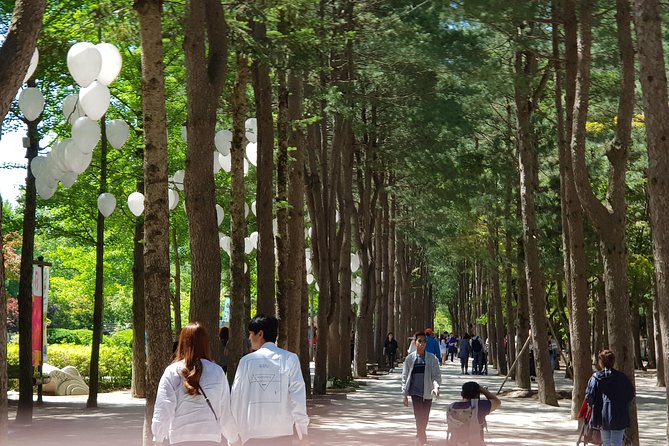Nami Island and Petite France - Filming Location - Exploring Petite France
