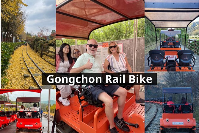 Nami Island & Petite France & Italian Village & Gangchon Rail Bike One-Day Tour - Tour Highlights