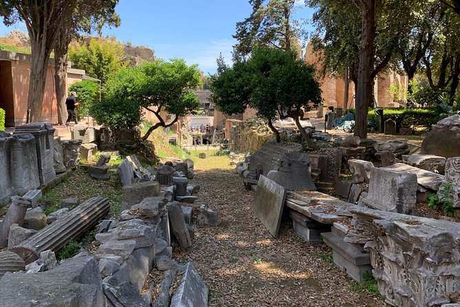 NAPLES and PHLEGRAEAN FIELDS (The Area of ​​The Volcanoes) - Unique Geology of the Region