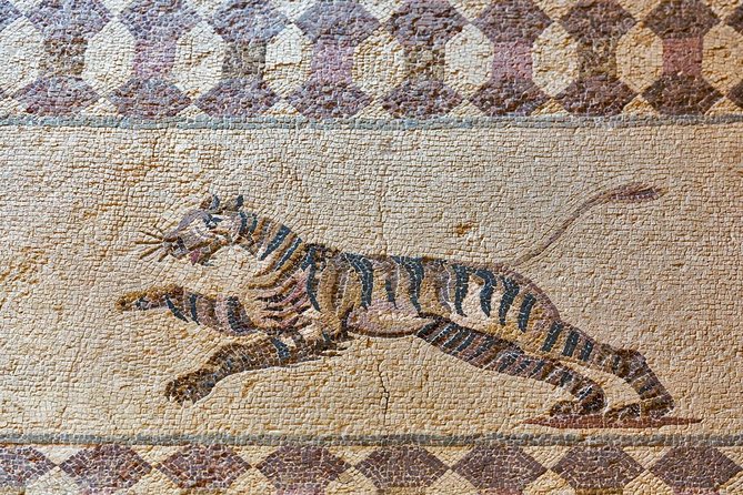 Naples Museums: Archeological and Capodimonte Private Tour From Rome - Tour Information and Policies