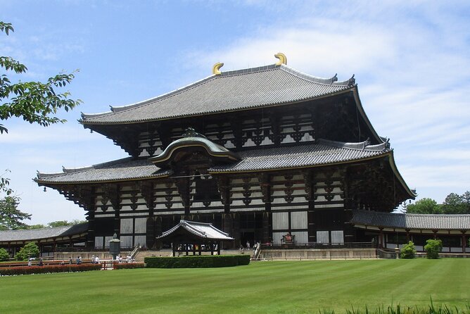 Nara ITALIAN GUIDE, Shared Tour Giant Buddha, Deer in the City - Tour Overview
