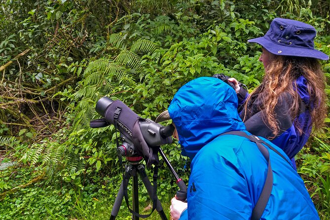 Nature and Birding Experience in Yanachocha Reserve - Bird Watching Opportunities