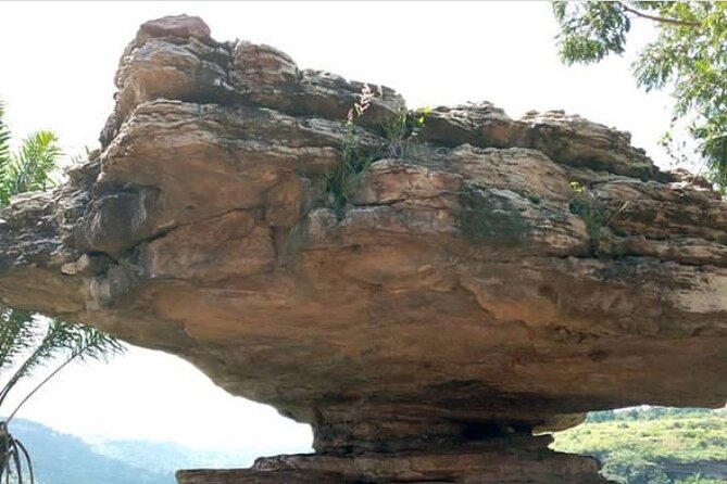 Nature Tour