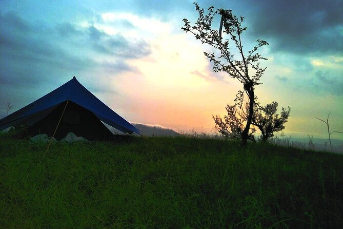 Nature Trek From Dharamshala - Tour Highlights