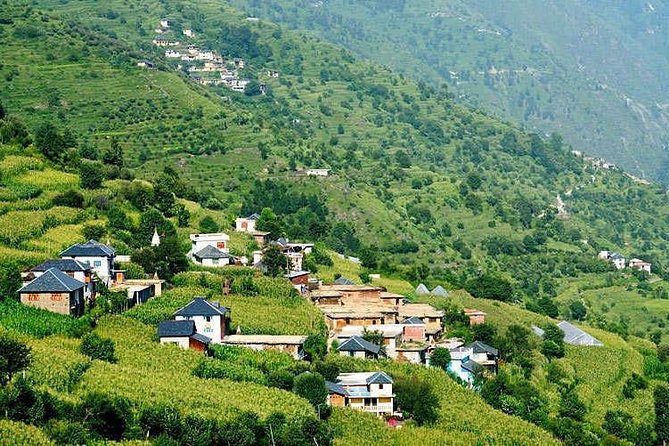 Nature Trekking Near Dharamshala With Lunch - Meeting Point and Start Time