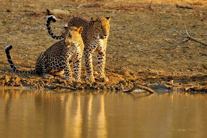 Nature & Wildlife – 10 Days Tour