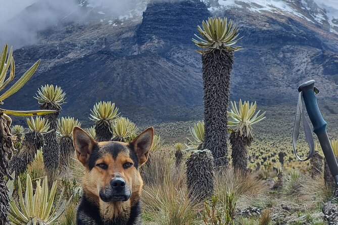 Nevado Del Tolima Volcano Excursion