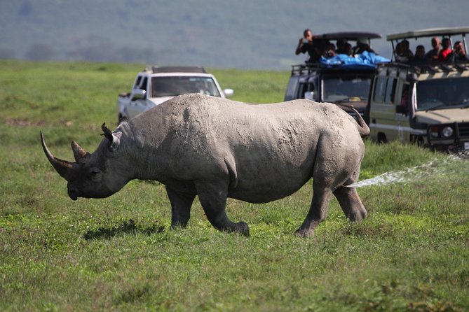 Ngorongoro Crater Day Trip Joining Safari From Arusha - Itinerary Overview