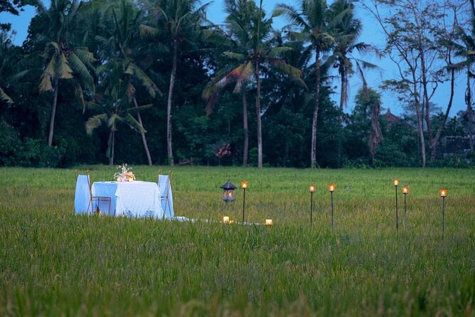Nha Trang Romantic Dinner in a Rice Paddy Field Night Tour - Pickup Information