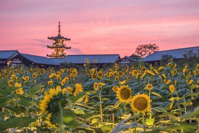 Nianhua Bay Private Half-Day Tour From Wuxi - Tour Inclusions