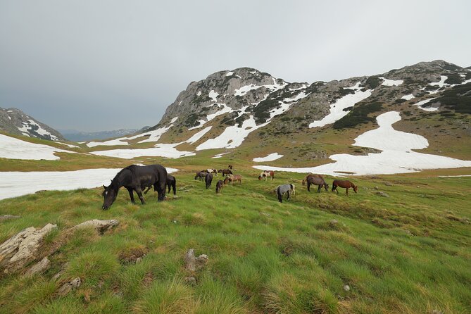 Northern Montenegro Private Tour: Durmitor With Black Lake & Local Food Tasting - Tour Overview