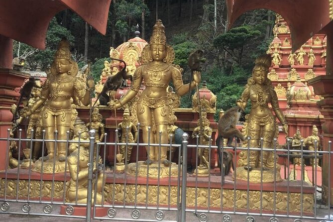 Nuwara Eliya Half Day Private Hiking and Sightseeing Tour