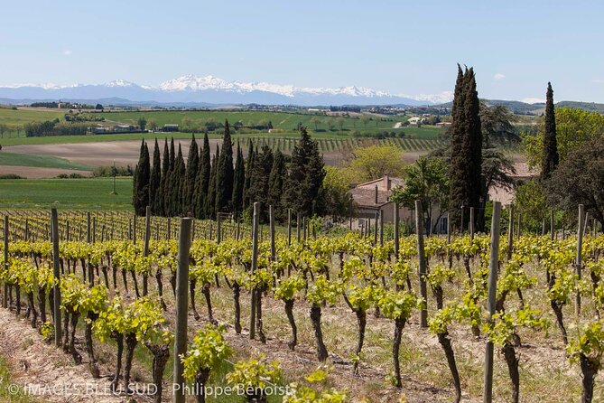 Oenology Workshop and Wine Tasting - Workshop Overview