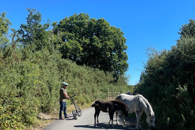 Off-road Electric Scooter Tour of the Plym Valley Trail