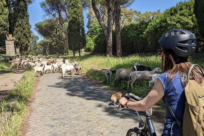 Official Appia Antica Park E-Bike Tour - Meeting Point