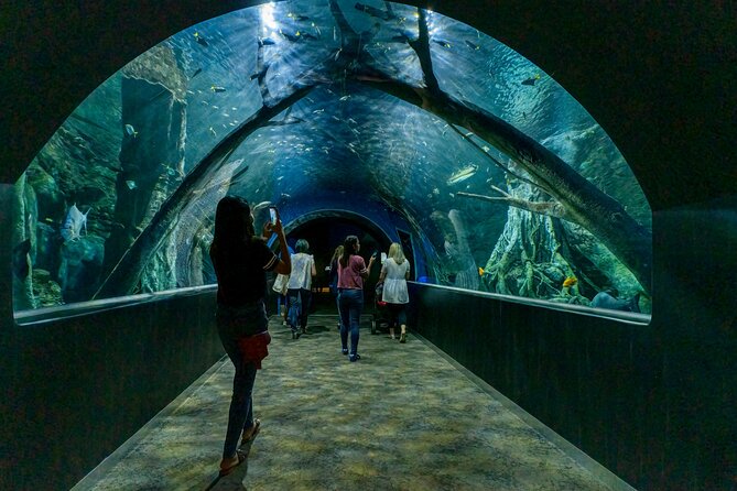 Oman Aquarium – Admission Ticket