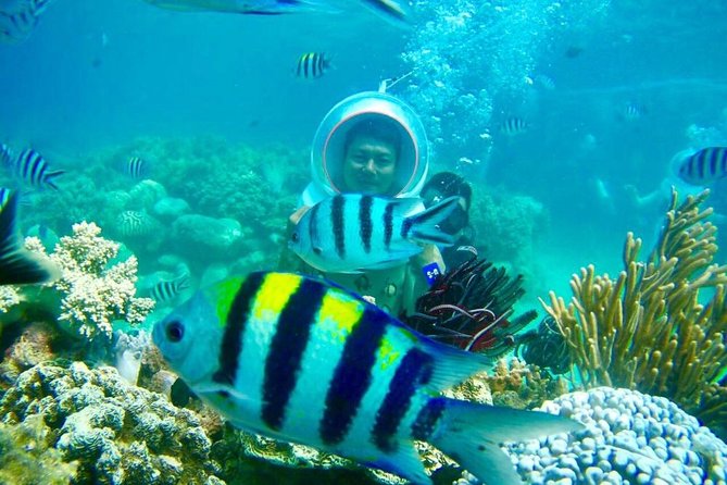 One Day Experiences In The Natural Life Nha Trang