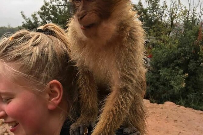 One Day Private Tour From Marrakech To Ouzoud Waterfalls - Tour Highlights