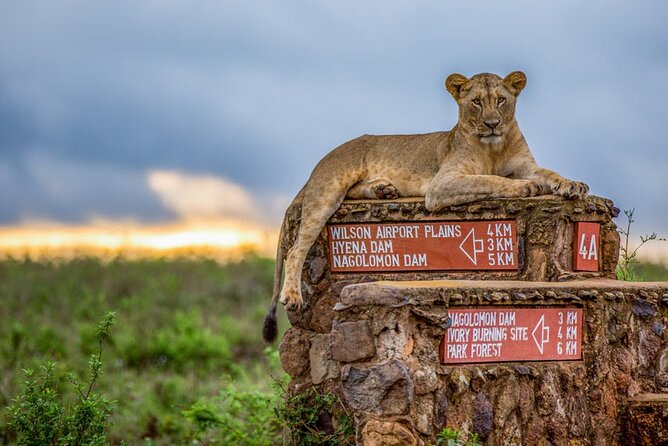 One Day Safari in Nairobi National Park