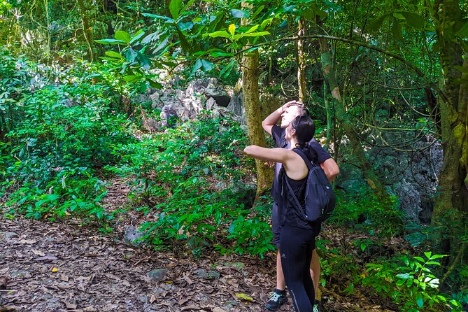 One Day Trekking Cat Ba National Park