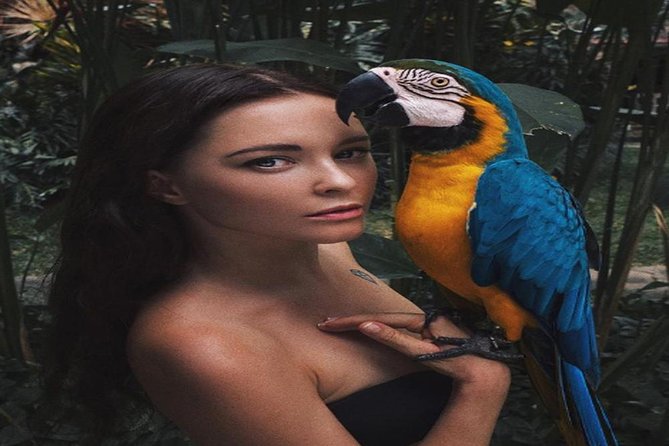 One Day Trip Bali Bird Park And Ubud Tours