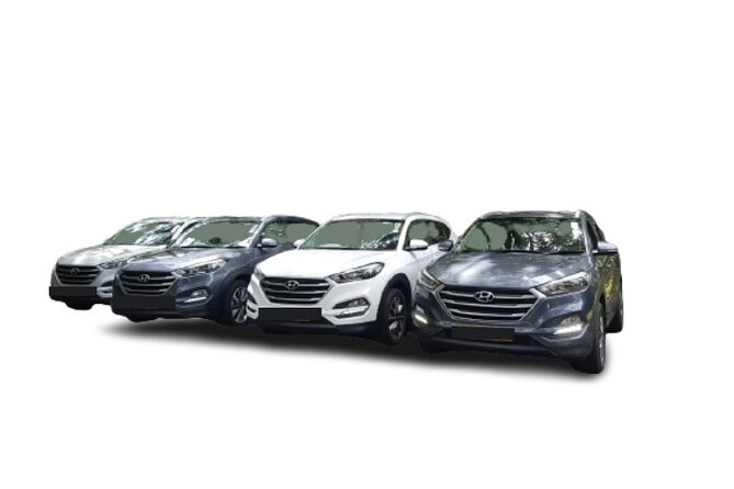 One Way or Round Trip Private Transfer From Mauritius Airport - Transportation Details