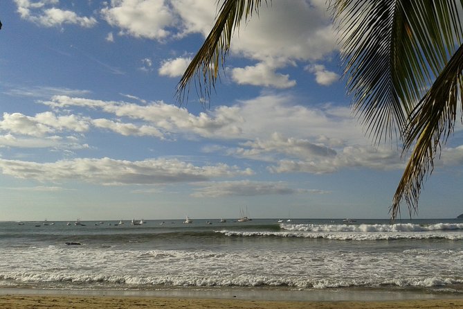 One Way Transfer From San José or SJO Airport to Ocotal Beach up to 5 Passengers