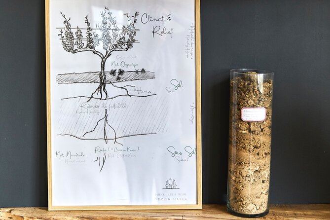 OP1 Tasting of Three Champagnes in Cramant - Overview and Details