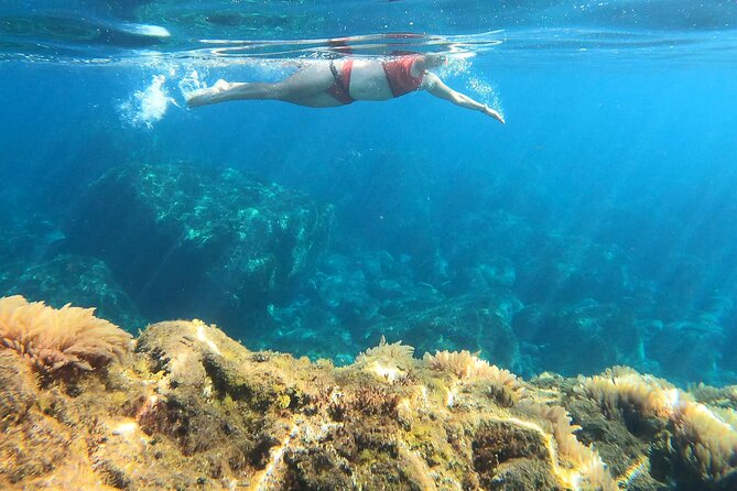 Open-Water Swimming in Madeira