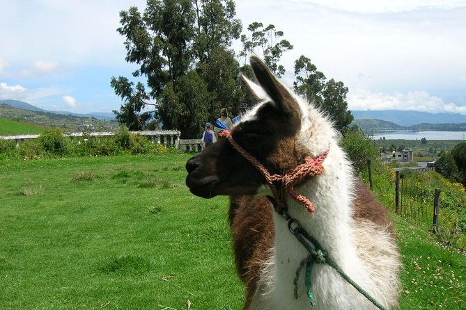 Otavalo Market & Peguche Waterfall Private Tour - Itinerary Overview