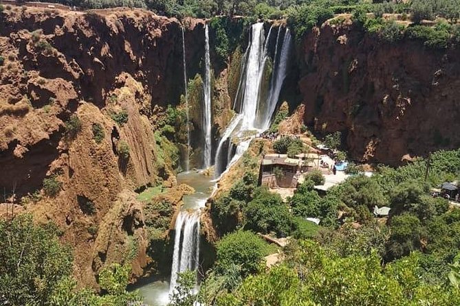 Ouzoud Waterfalls Full-Day Tour From Marrakech