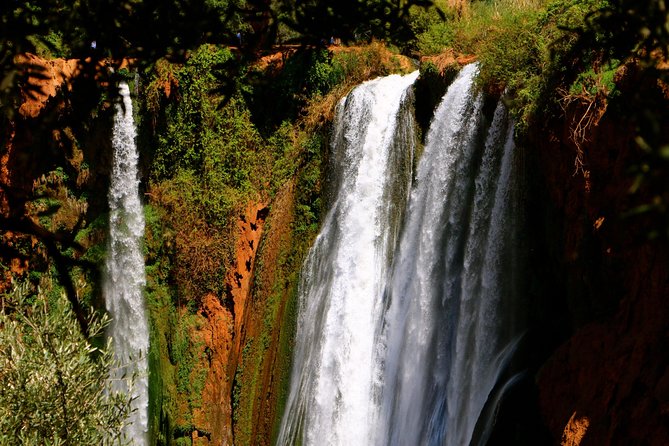 Ouzoud Waterfalls Private Day Trip From Marrakech - Tour Highlights