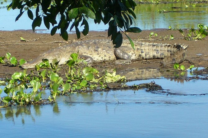 Overnight Sirena, Corcovado From Drake Bay - Meeting and Pickup Information