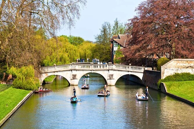 Oxford and Lacock Tour With Lunch and Entry to Divinity School - Tour Overview