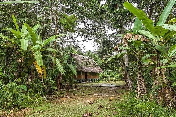 Pacaya Samiria National Park From Tarapoto 5 Days and 4 Nights - Overview of Pacaya Samiria National Park