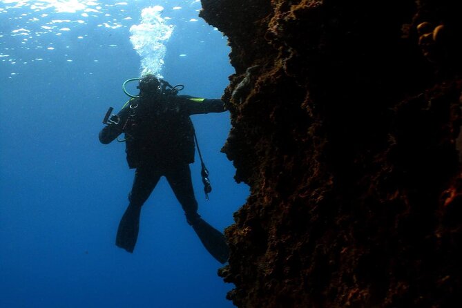 Padi Advanced Open Water Diver Course in Nea Makri,Athens