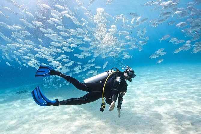 PADI Advanced Open Water Diving Course & Certificate – Hurghada
