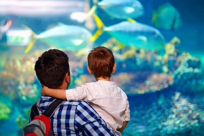Palma Acquarium With Transfer - Pickup Points