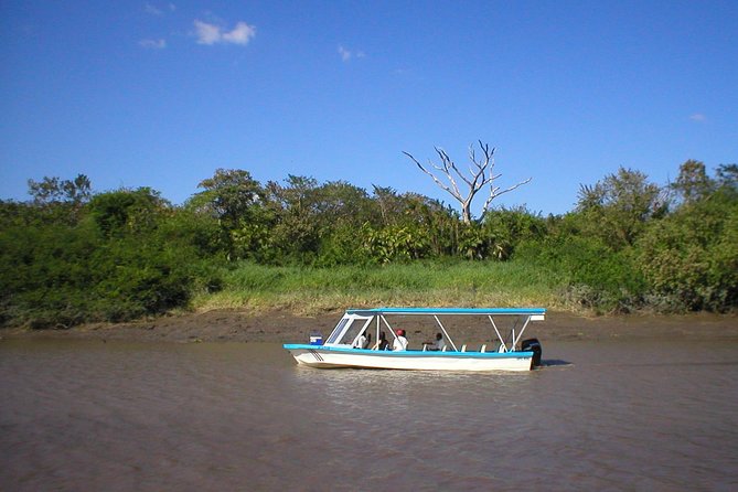 Palo Verde Boat Tour and Wildlife Watching From Dreams Las Mareas