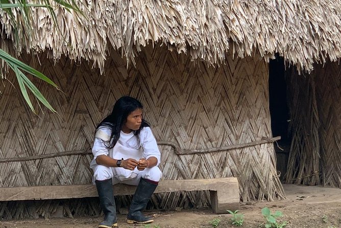 Palomino and Ceviaka Village Tour - Tour Highlights