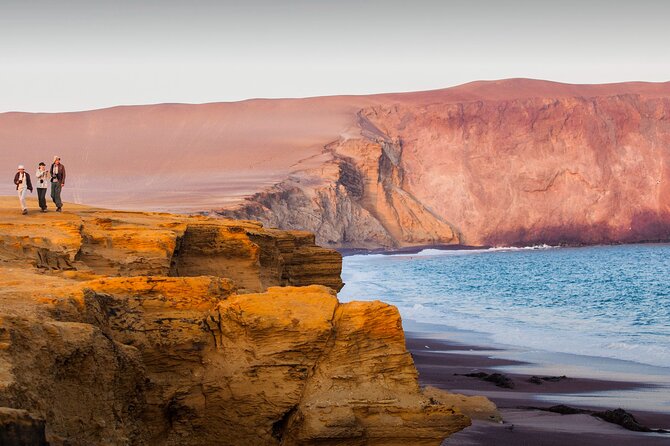 Paracas Reserve - Off Road by Buggy and ATV - Overview of Paracas Reserve