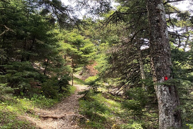 Parnitha Mountain Private Hiking Tour - Tour Name and Location