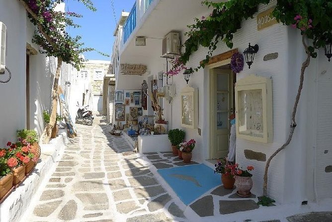 Paros 2 Day Trip From Athens - Trip Overview