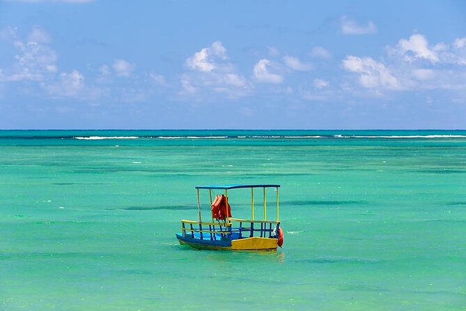 Patacho Beach Tour From Maceió - Tour Details