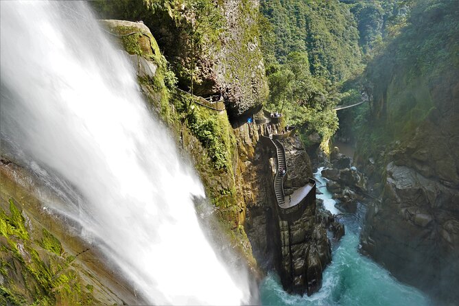 Peaks to Canopy Discover the Northern Andes and Amazon