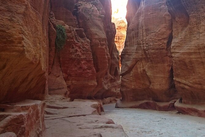 Petra Sightseeing Day Tour From Aqaba Port