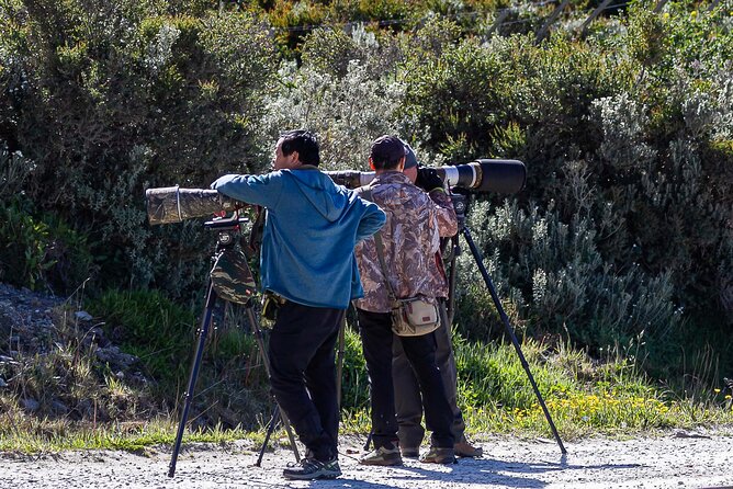 Photo Tour in Tierra Del Fuego National Park - Overview of the Photo Tour