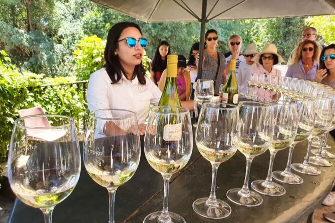 Pick up San Antonio Visit Concha Y Toro Winery & Leave in Hotel